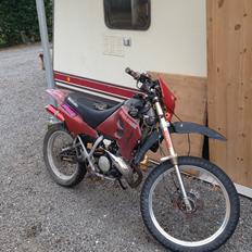 Suzuki RMX the red devil