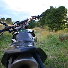 Generic Trigger SM 50 LC