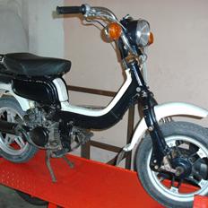 Suzuki fz50