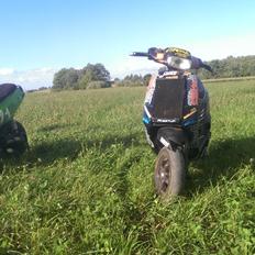 Piaggio Zip Klister v2