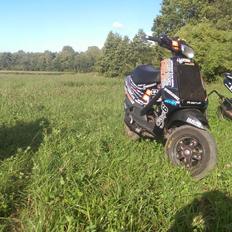 Piaggio Zip Klister v2