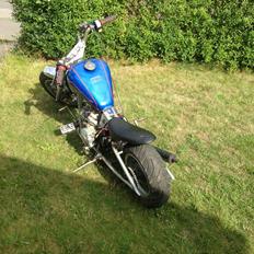 MiniBike Zhuan Yong Che 110ccm