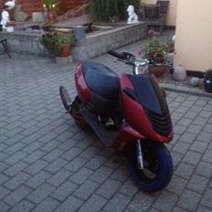 Aprilia sonic