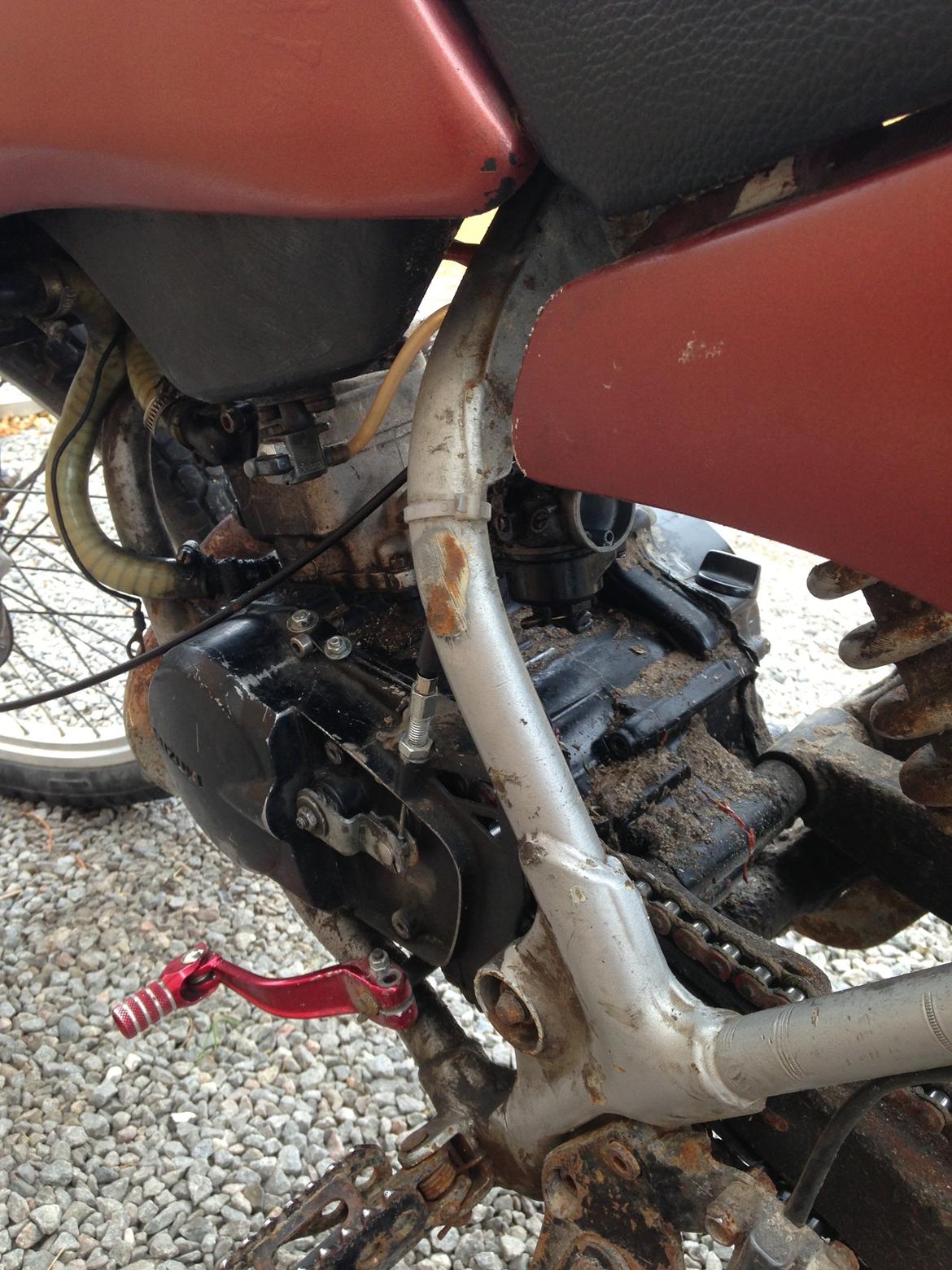 Suzuki RMX the red devil billede 7