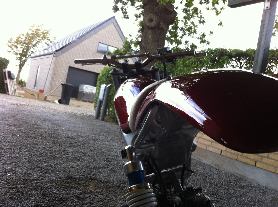 Suzuki street magic billede 5