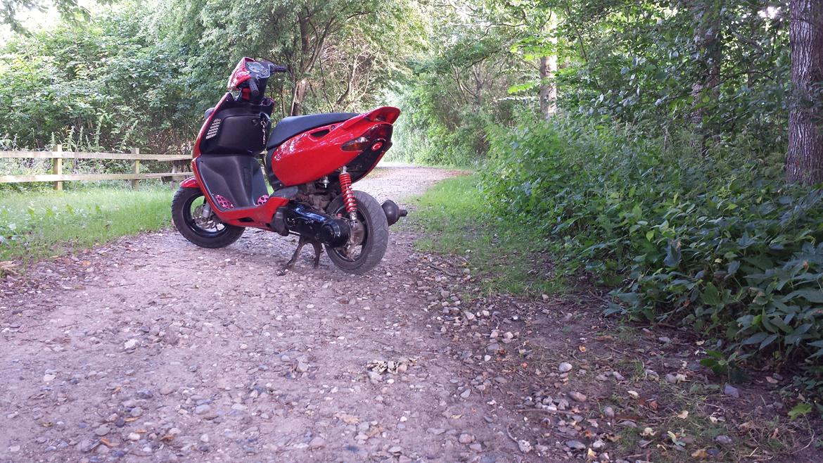 Aprilia sonic billede 5