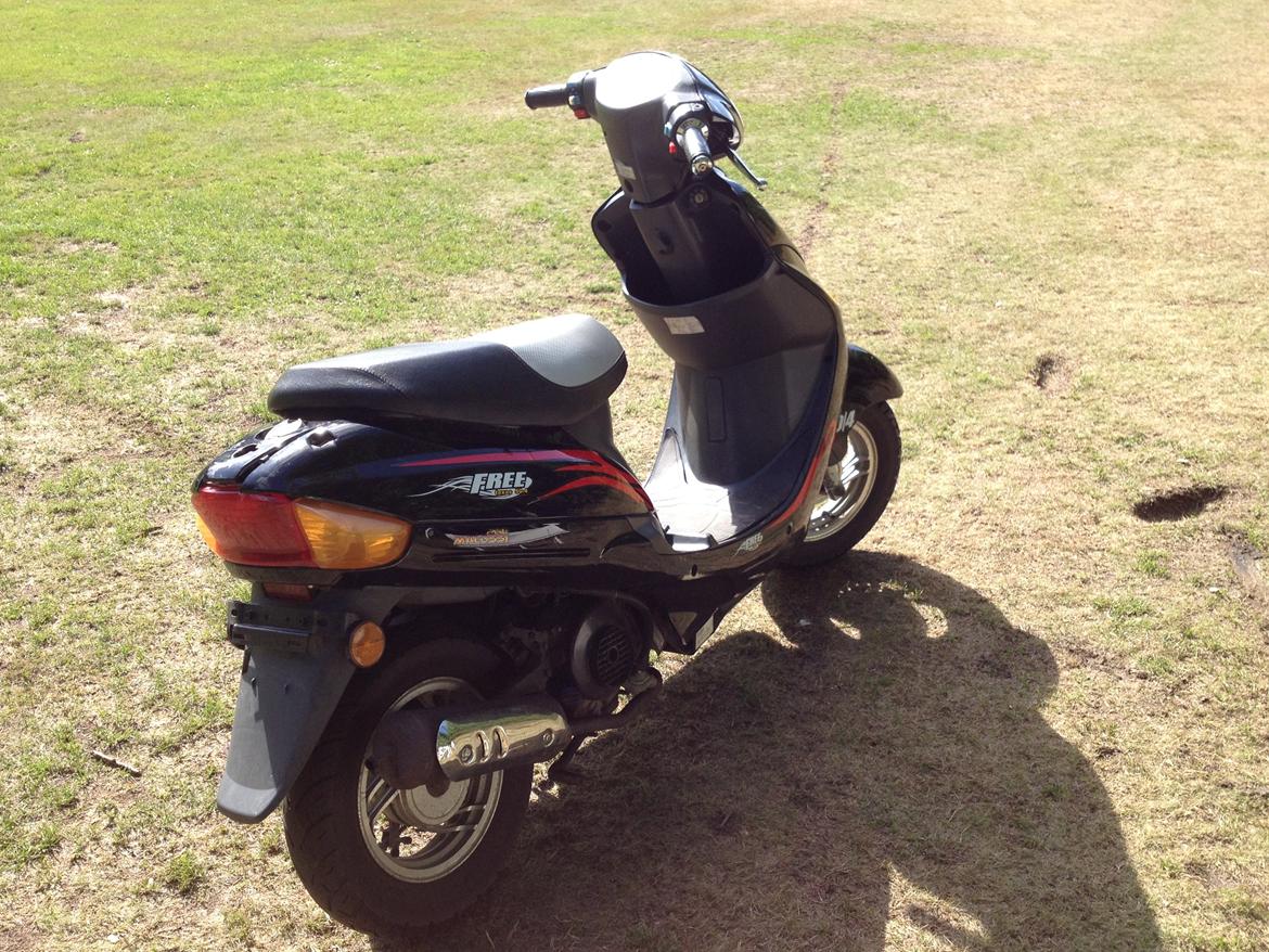 Texas Free 50-4 billede 5