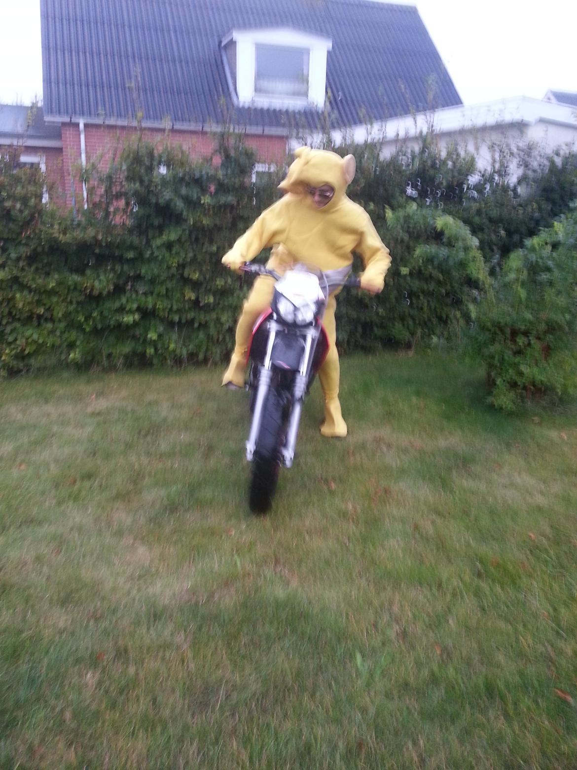 Aprilia sx 50 billede 10