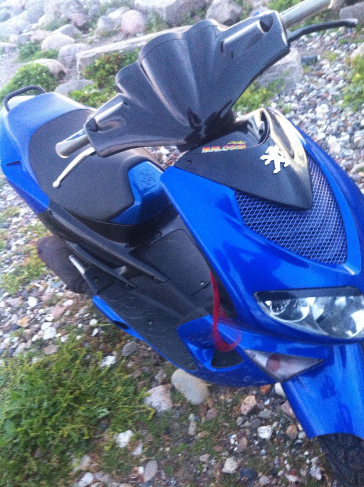 Peugeot Speedfight 2 (Totalt skadet) :'( billede 11