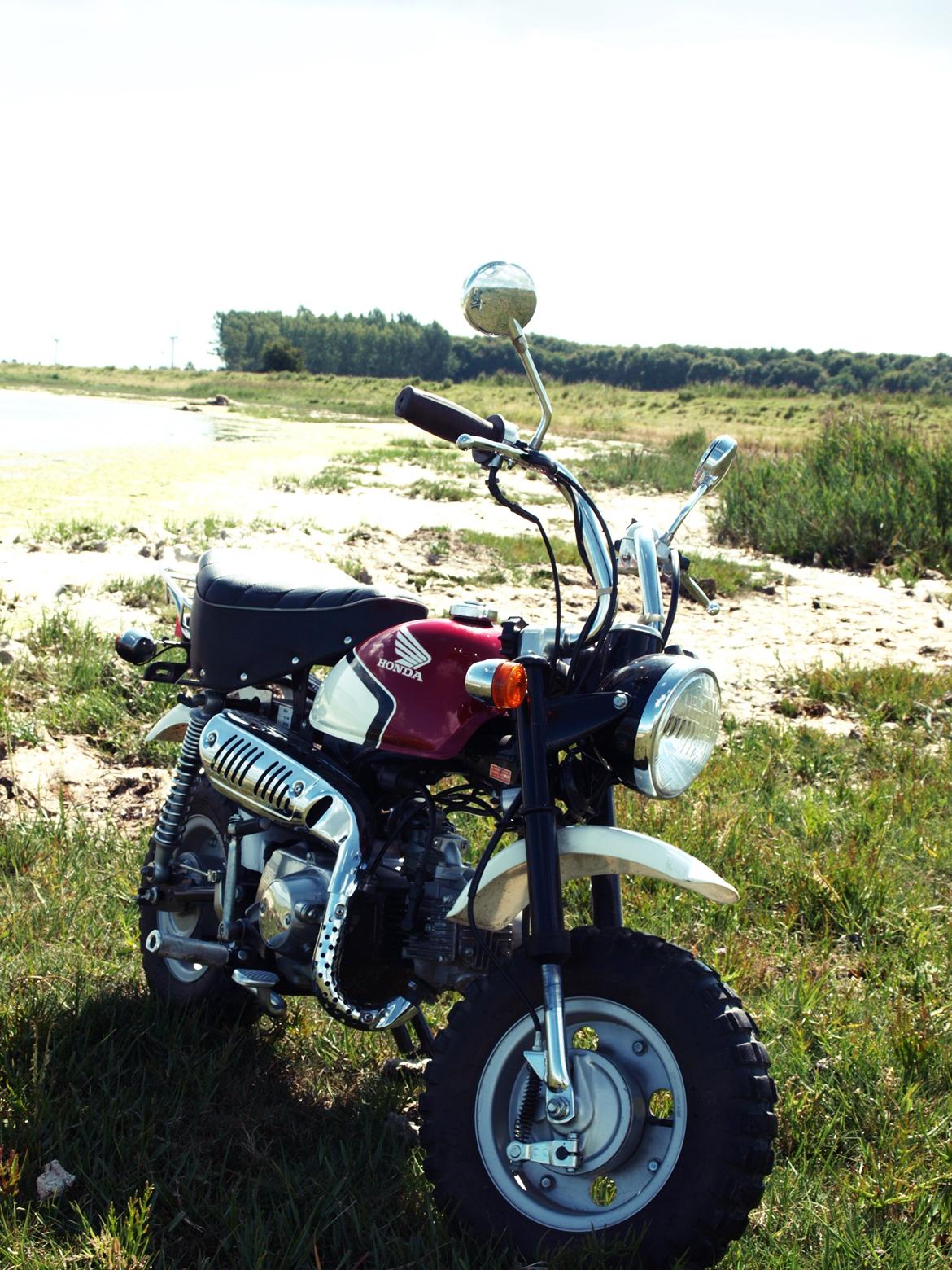 Honda Monkey Z50 Special billede 5