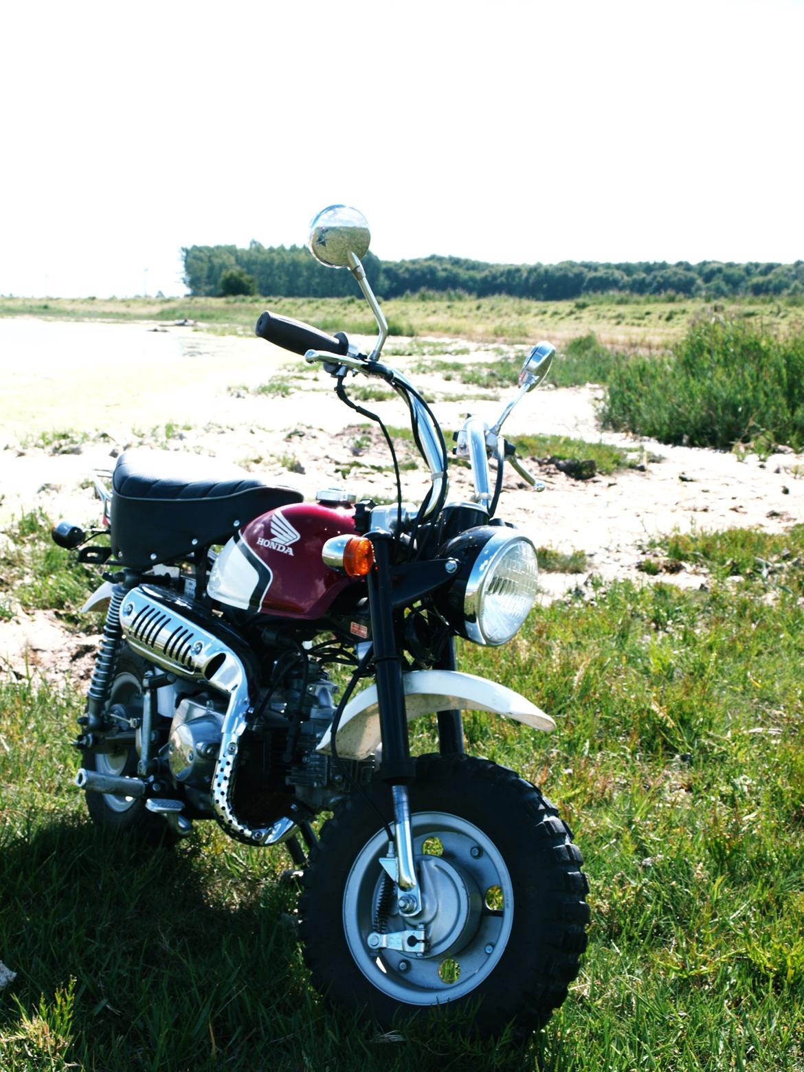 Honda Monkey Z50 Special billede 6