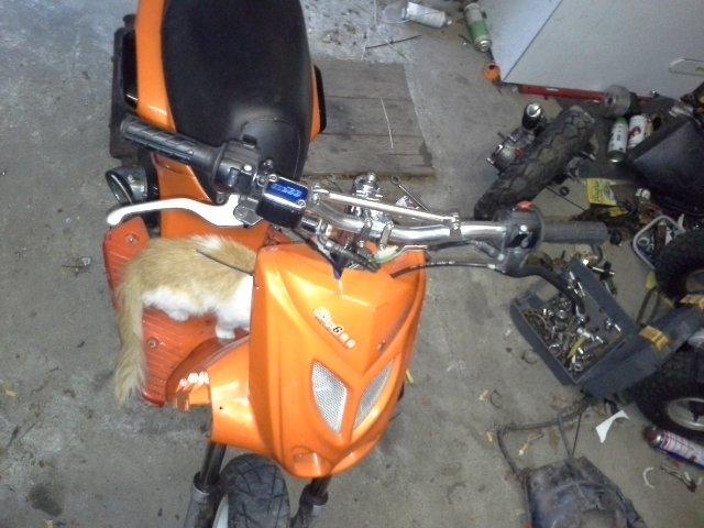 Yamaha slider billede 16