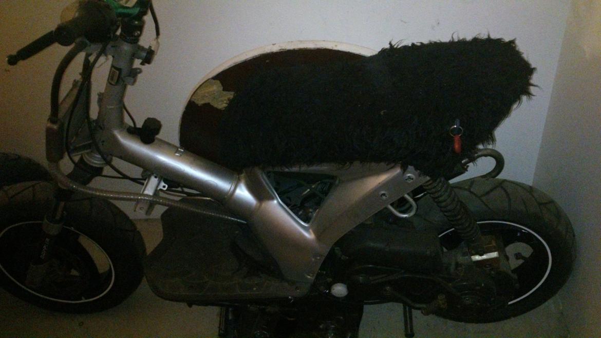 Gilera ice billede 2