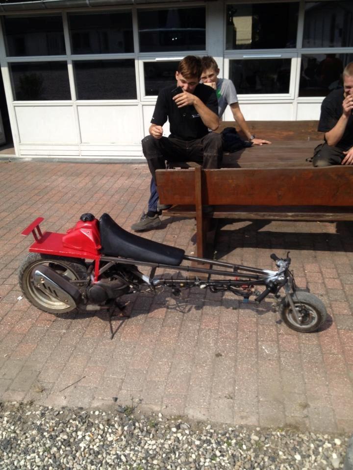 Adly tmp baboon billede 1