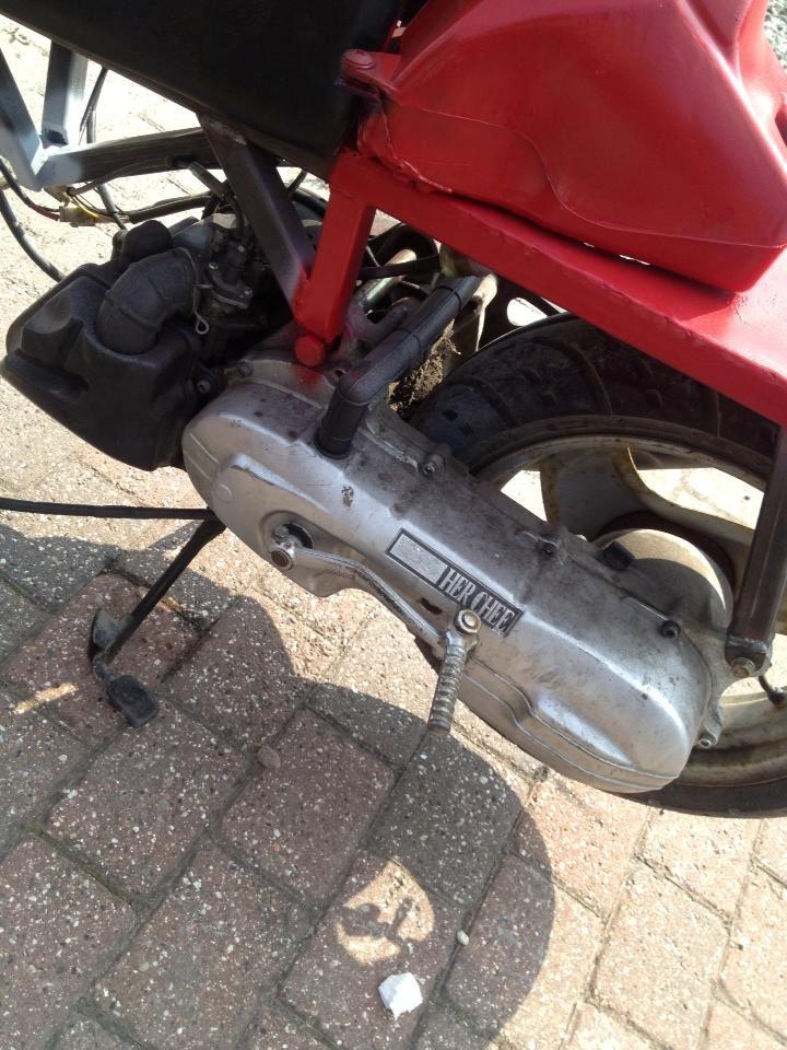 Adly tmp baboon billede 2