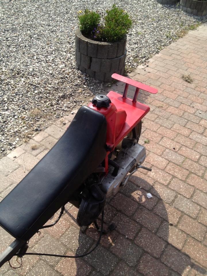 Adly tmp baboon billede 3