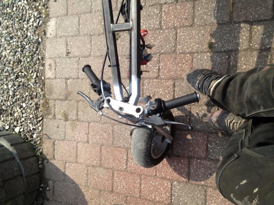 Adly tmp baboon billede 4