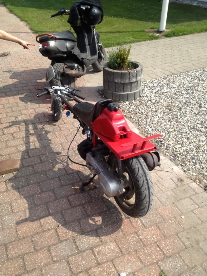 Adly tmp baboon billede 5