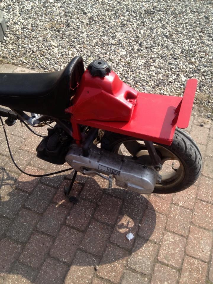 Adly tmp baboon billede 7