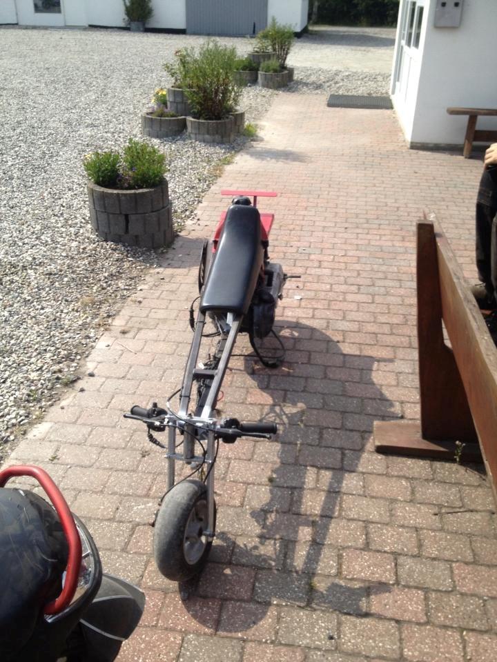 Adly tmp baboon billede 9