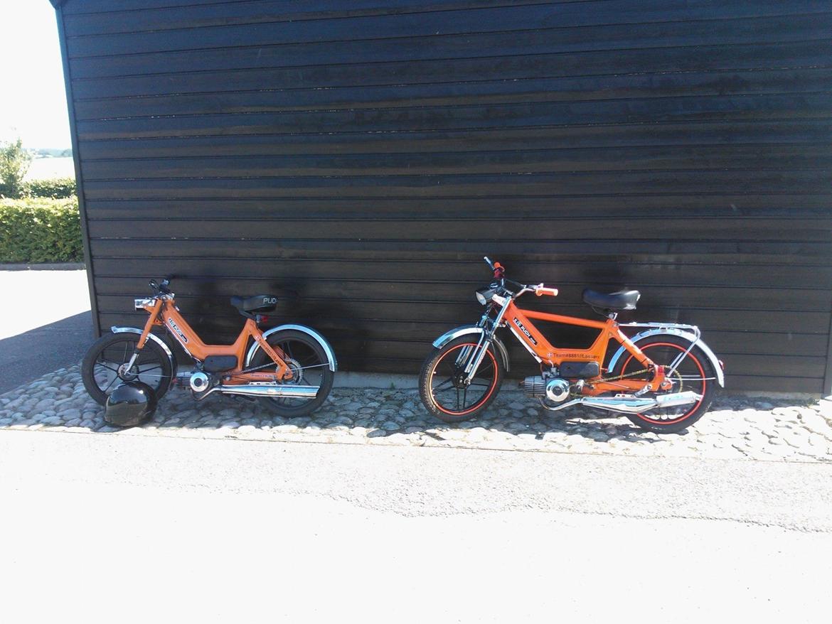 Puch Maxi K // AC ND Perlemor orange billede 12