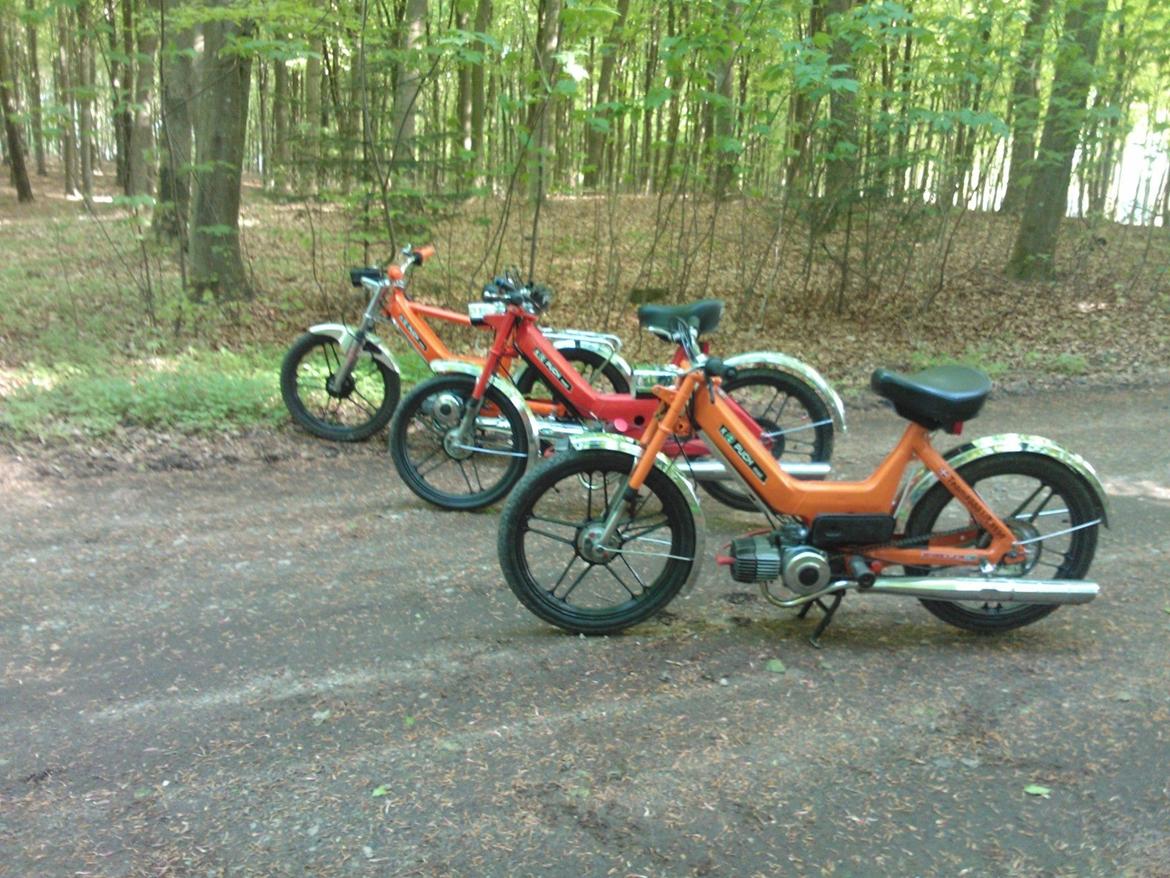 Puch Maxi K // AC ND Perlemor orange billede 14