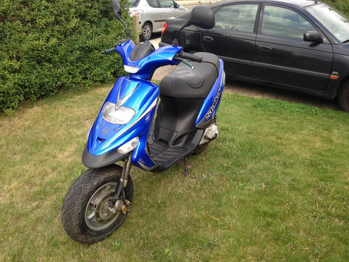 Gilera Stalker Extreme billede 2