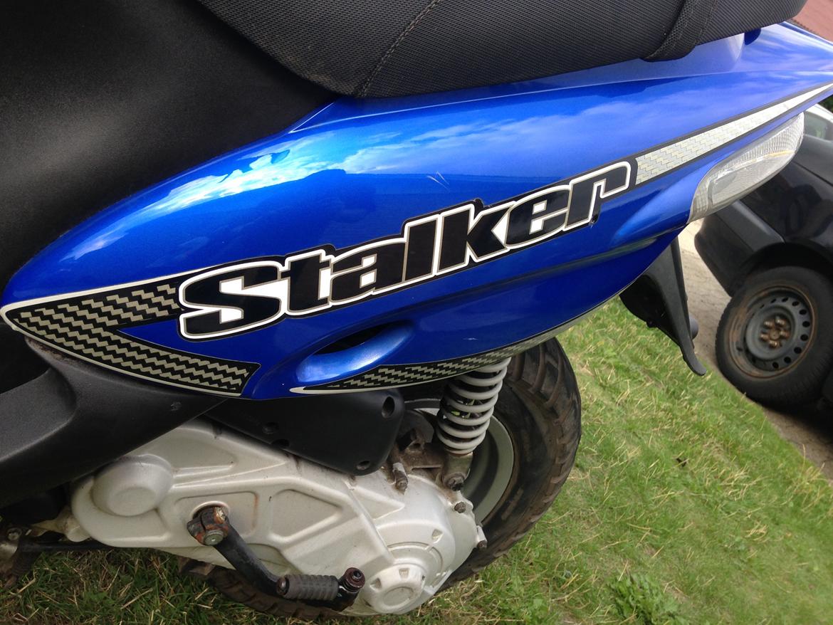 Gilera Stalker Extreme billede 9