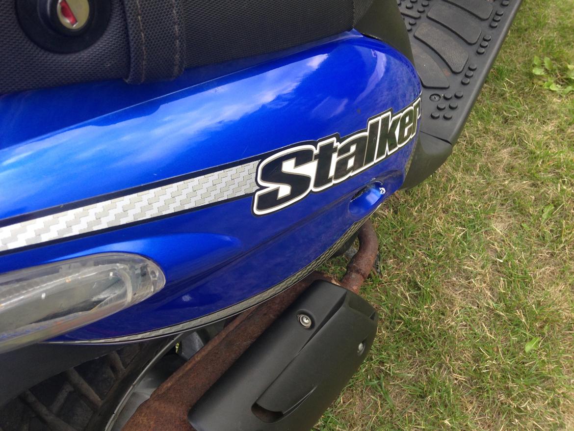 Gilera Stalker Extreme billede 16