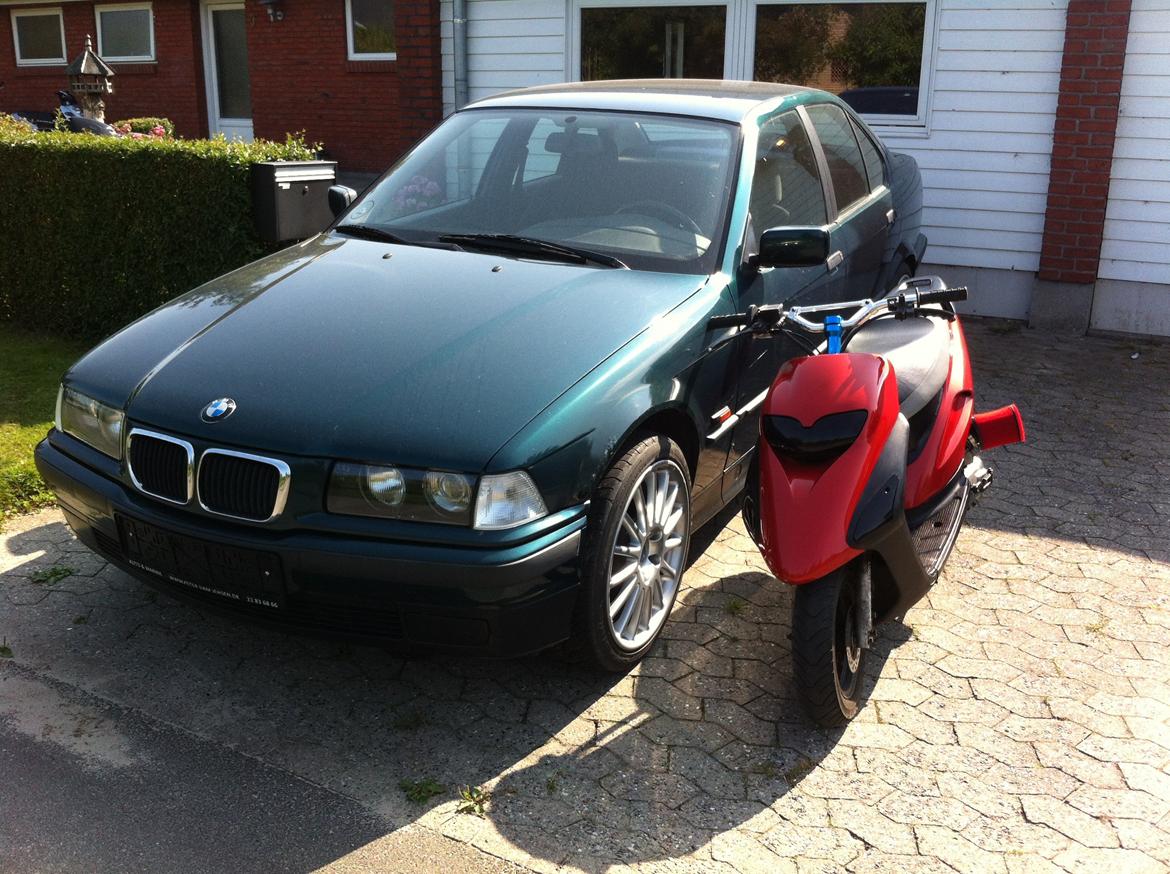 Honda SFX billede 12