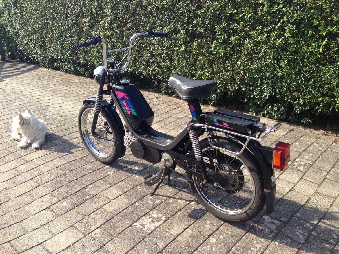 Veteraner Jawa Babetta 210 Lux billede 4