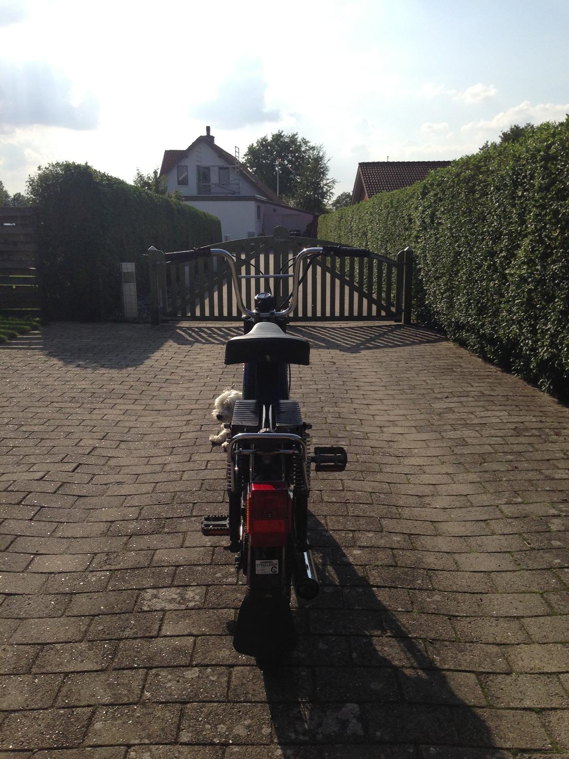 Veteraner Jawa Babetta 210 Lux billede 5