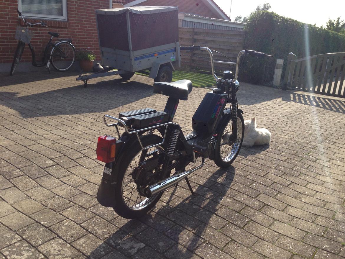 Veteraner Jawa Babetta 210 Lux billede 6