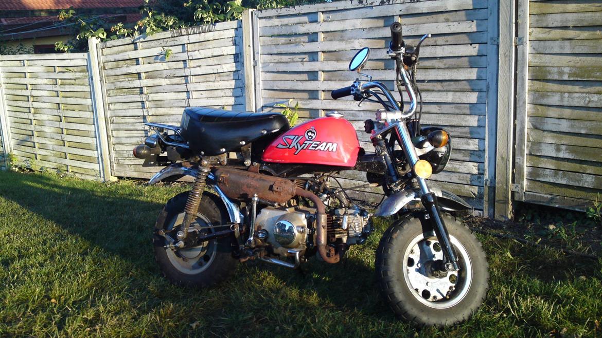 Skyteam Monkey Z 50 J billede 1