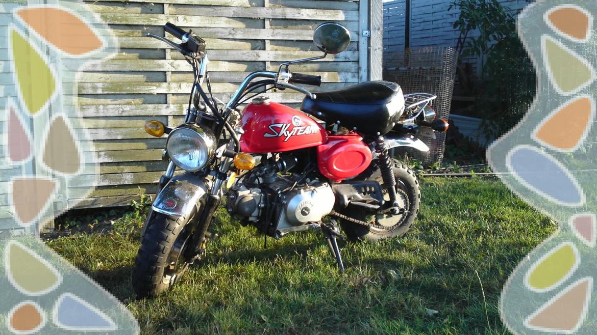 Skyteam Monkey Z 50 J billede 4