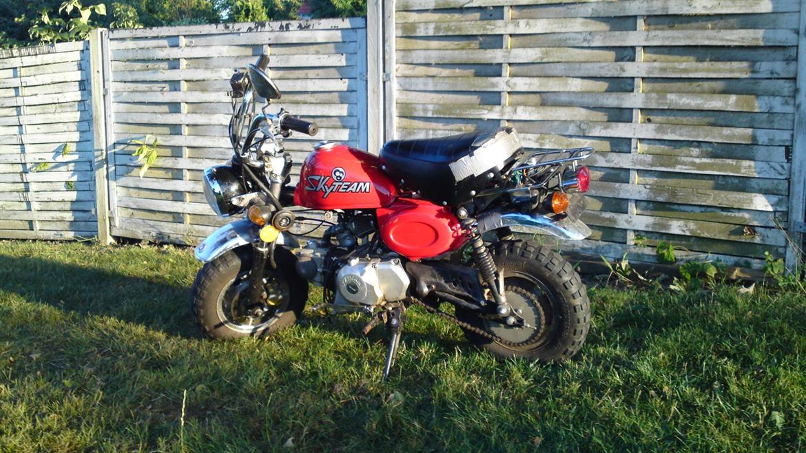 Skyteam Monkey Z 50 J billede 7