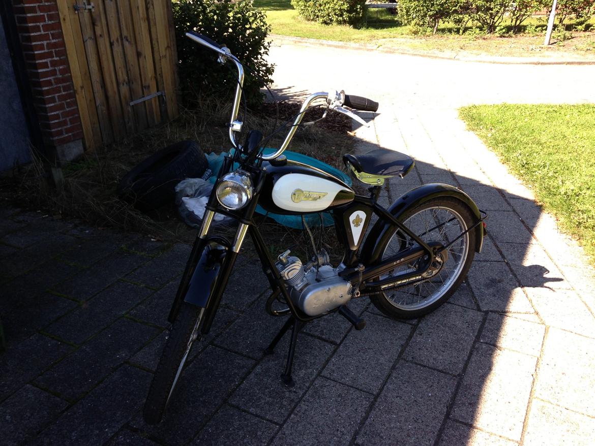 Sco Rekord billede 4