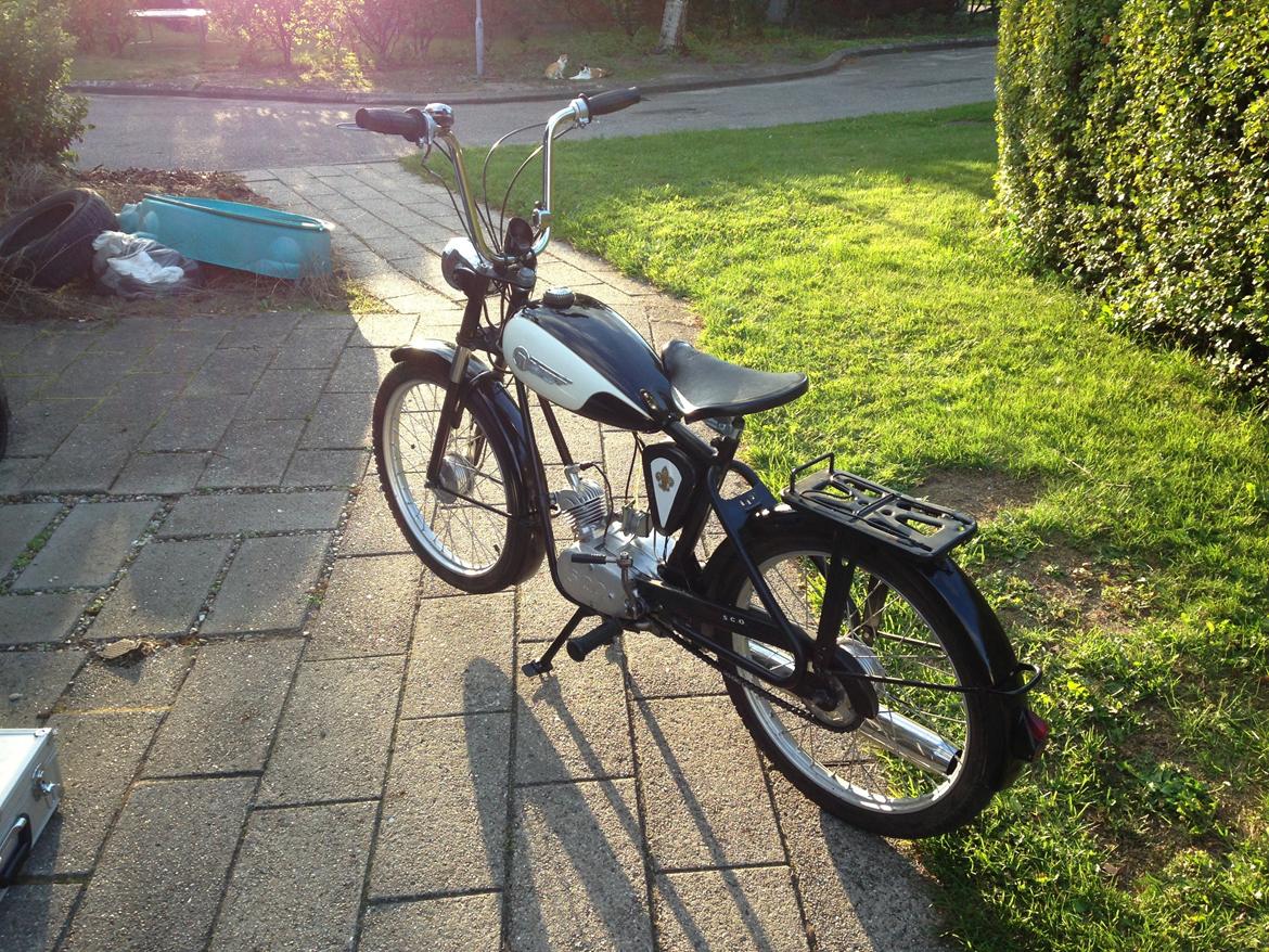 Sco Rekord billede 10