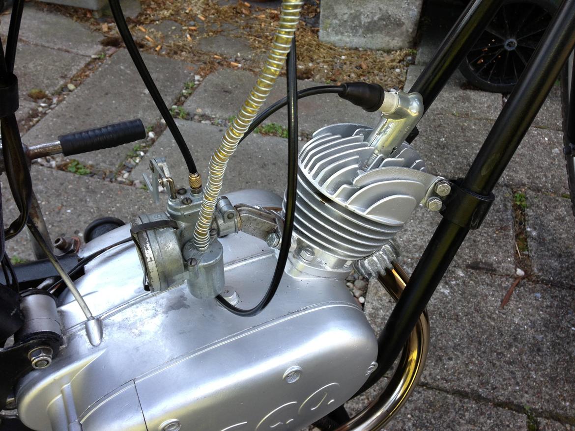 Sco Rekord billede 12