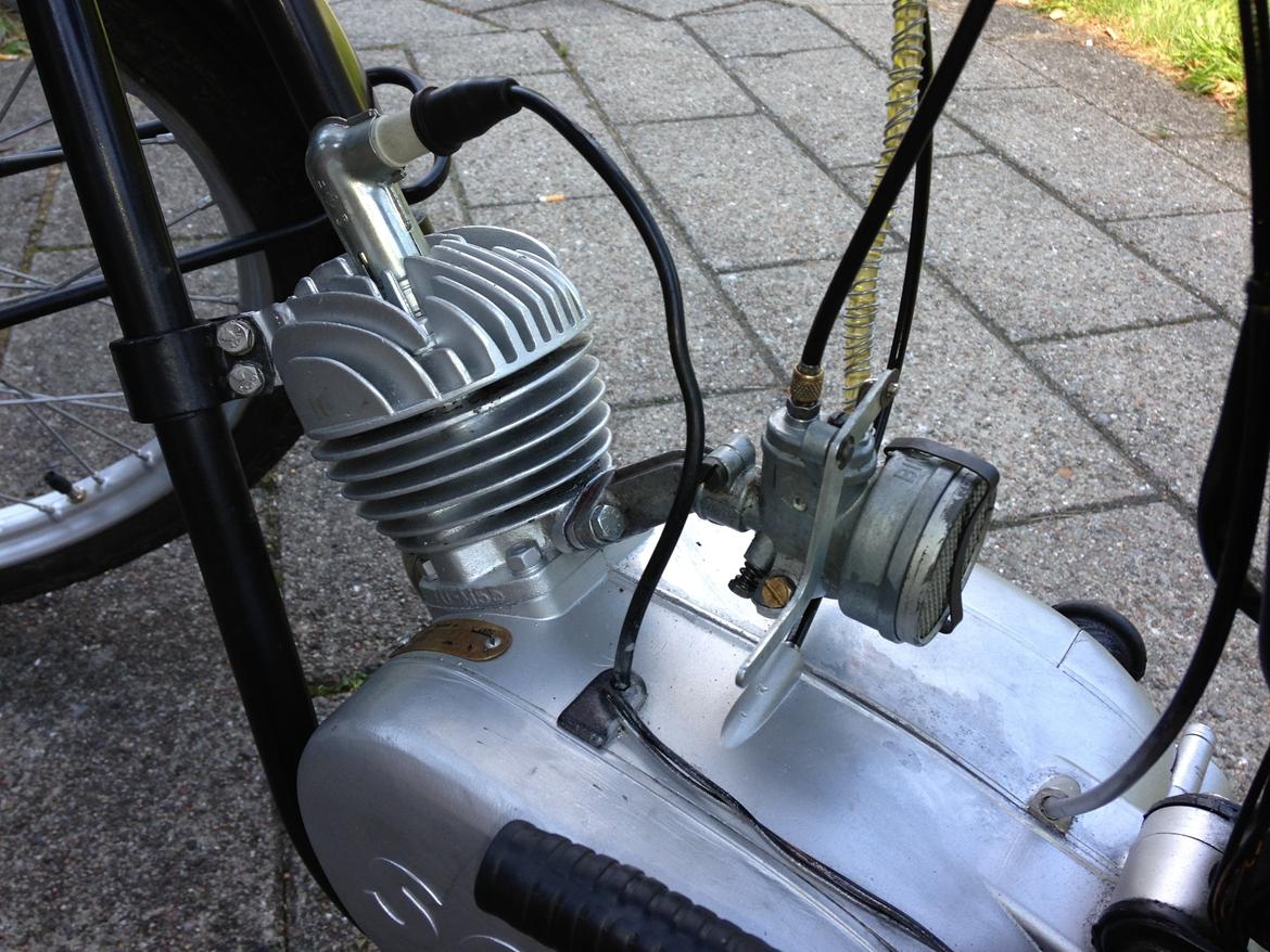 Sco Rekord billede 13