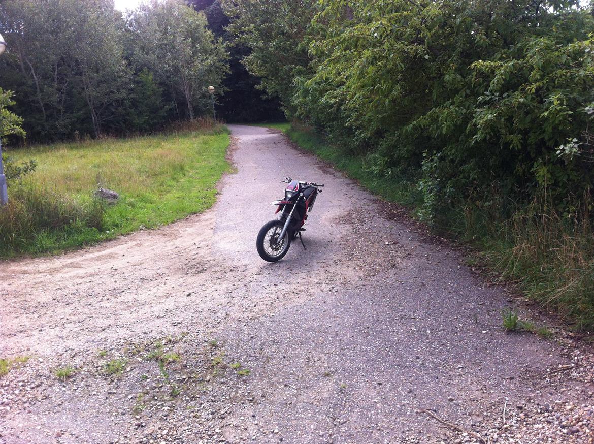 Gilera SMT TP 50 billede 11