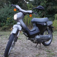 Honda Wallaroo "Walter"