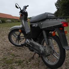 Honda Wallaroo "Walter"