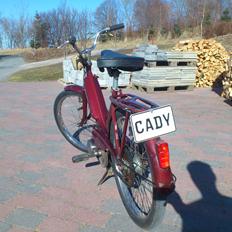 Motobecane Cady