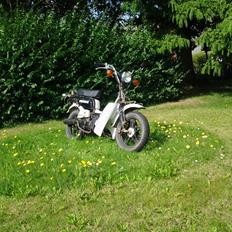 Suzuki FZ 50