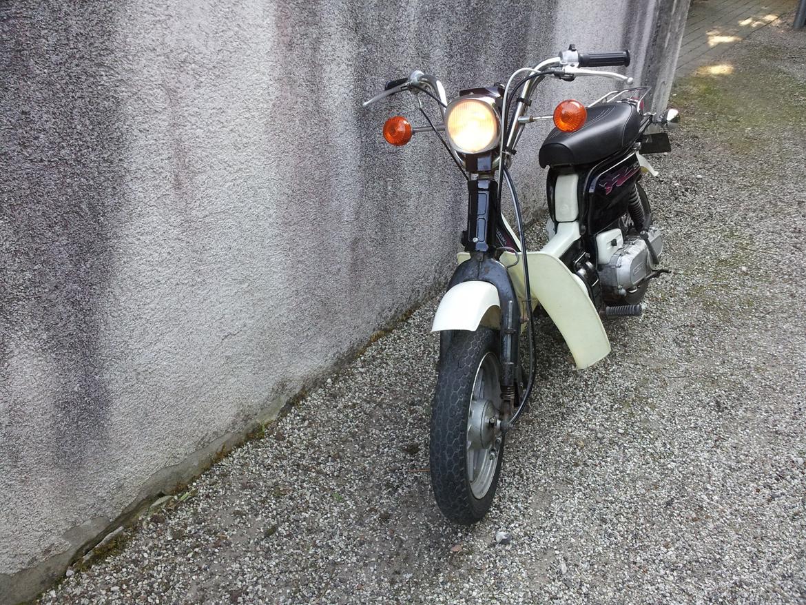 Suzuki FZ50 billede 1