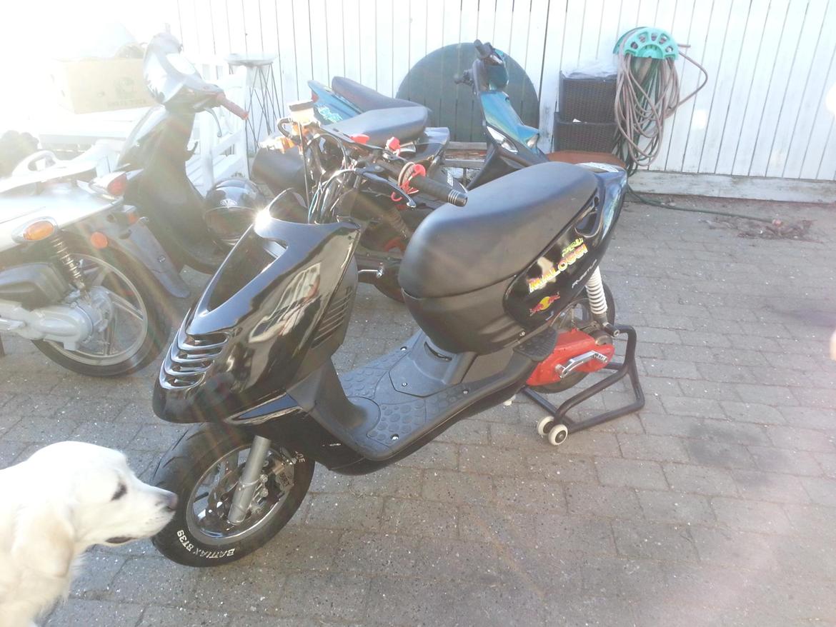 Aprilia Sonic LC TC - lige hentet hjem billede 16