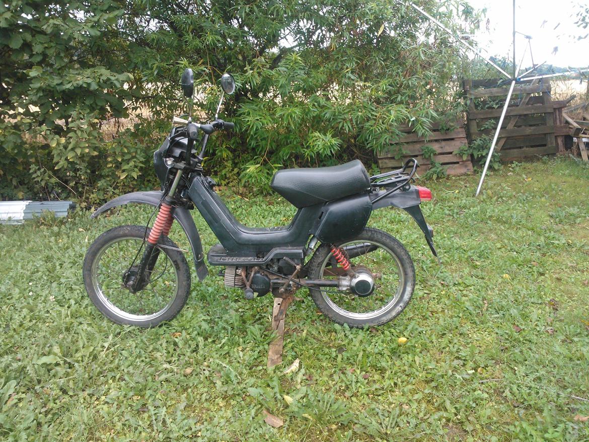 Yamaha sting sg 50 billede 3