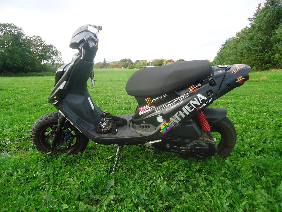 PGO Hot 50 billede 1