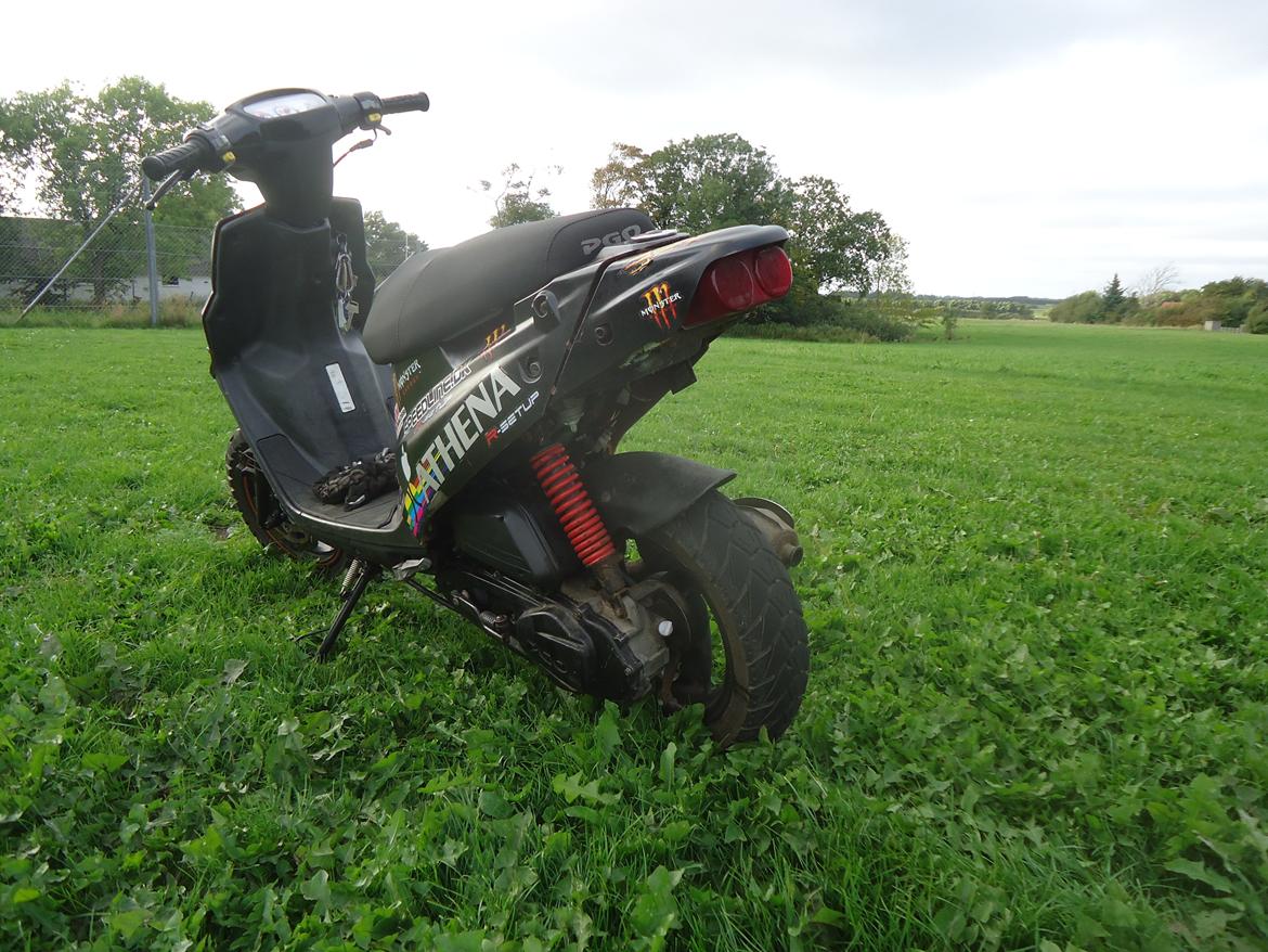 PGO Hot 50 billede 2